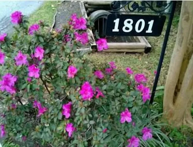 CitySpaces B & B hotel detail image 2