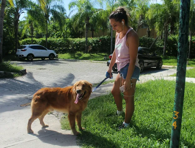 Baru Puerto Aventuras hotel detail image 1