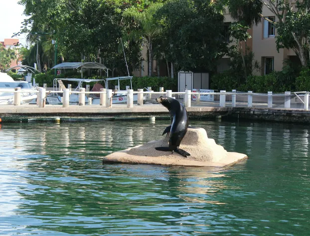 Baru Puerto Aventuras hotel detail image 2