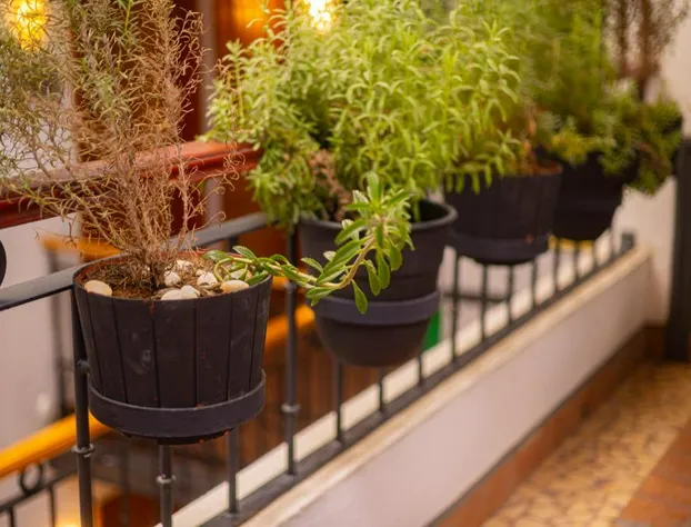 Casa de los Frailes Hotel hotel detail image 1