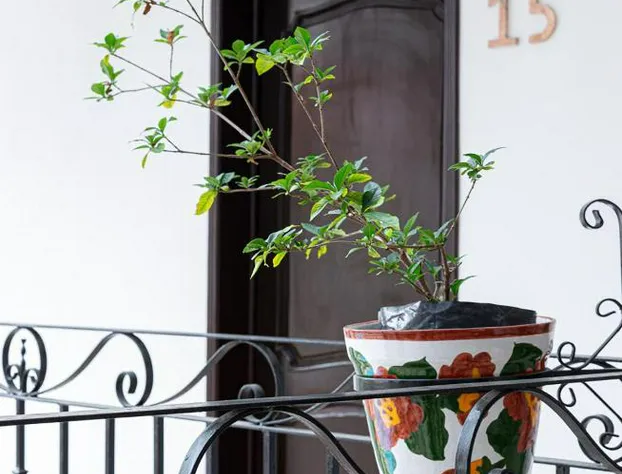 La Aurora Hotel Colonial hotel detail image 2