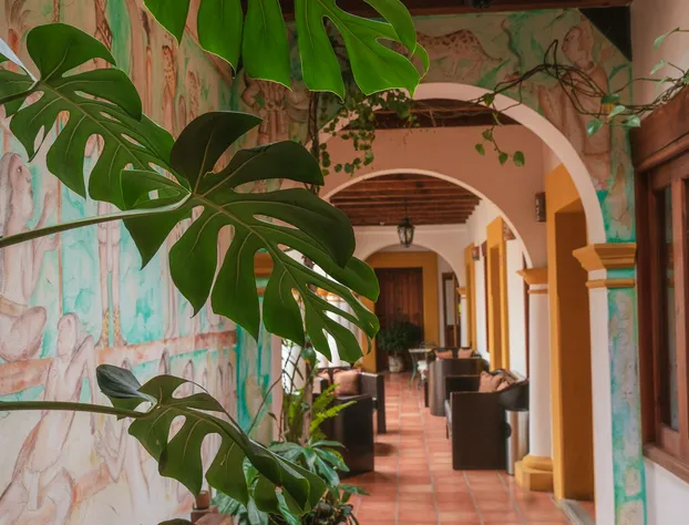 Hotel Casa Margarita hotel detail image 3