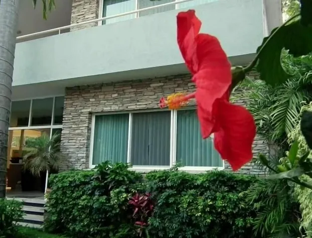 Hotel Laam hotel detail image 4