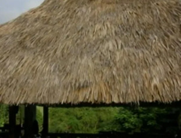 Hotel Paraiso Escondido hotel detail image 4