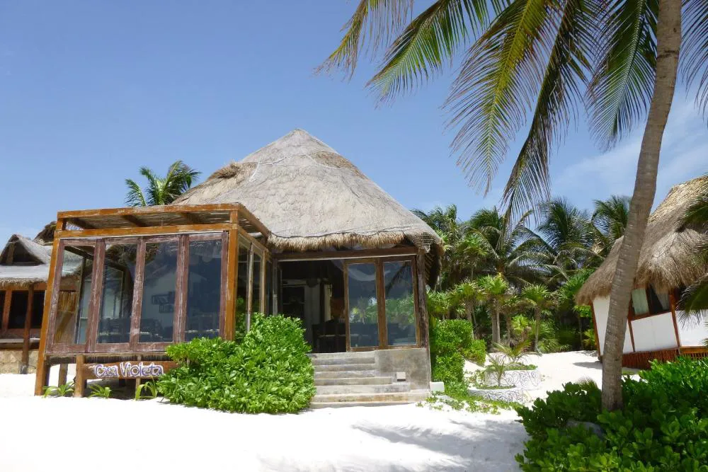 Casa Violeta hotel hero