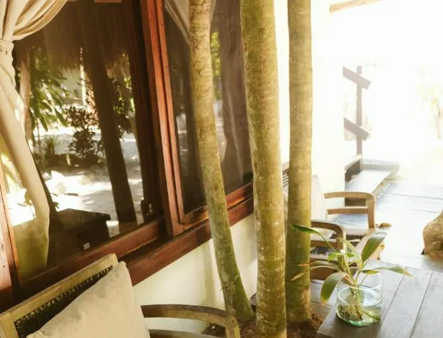 Casa Violeta hotel detail image 1