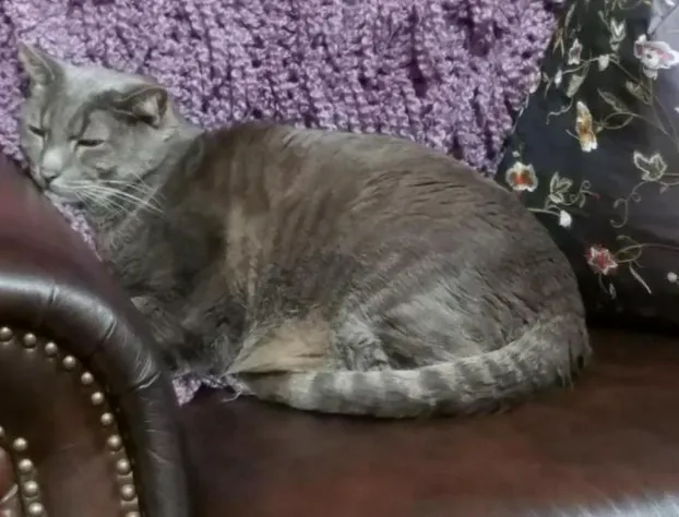 Wikiup Bed & Breakfast hotel detail image 1