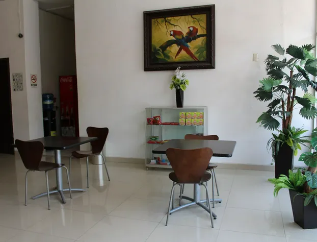 Hotel El Roble hotel detail image 4