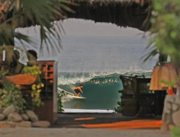 Hotel y Bungalows Acuario hotel detail image 4