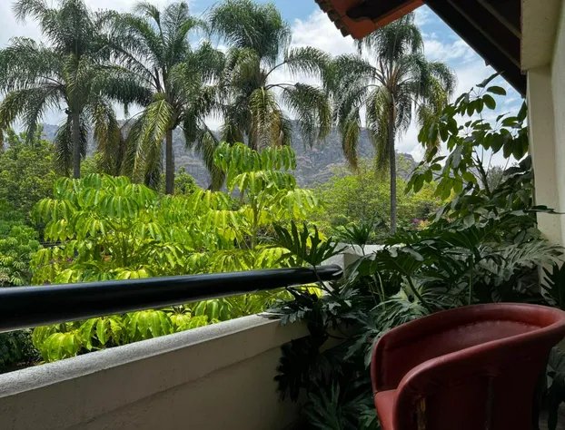 Casa Bugambilia hotel detail image 2