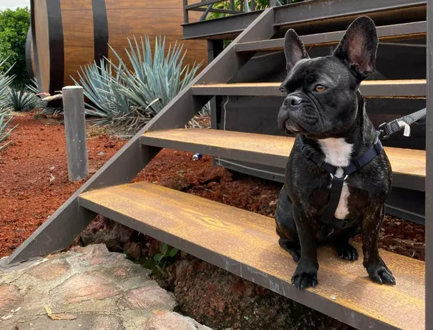 Matices Hotel de Barricas hotel detail image 4