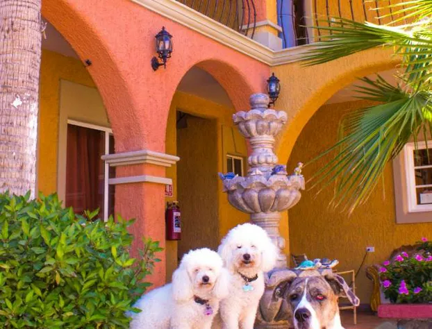 Hotel Angra hotel detail image 2