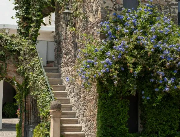 Hotel Layseca hotel detail image 3