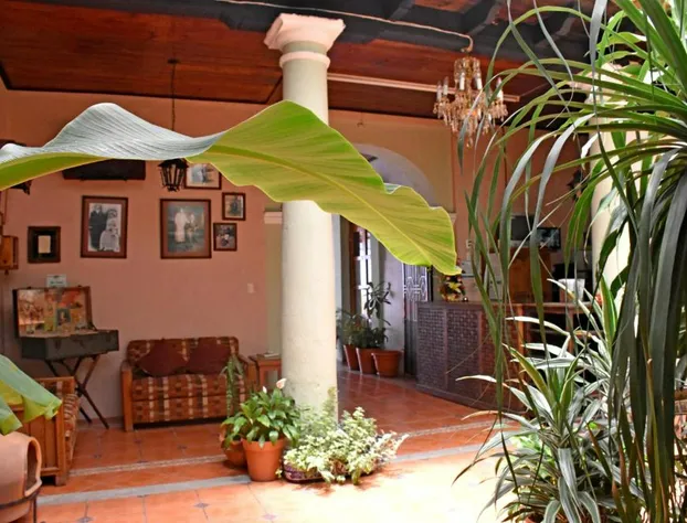 Hotel San Luis hotel detail image 1