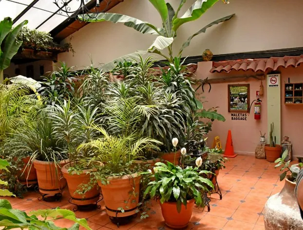 Hotel San Luis hotel detail image 3