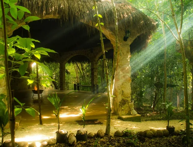 Reserva Ecologica Hacienda Cancun hotel detail image 2