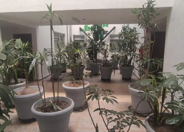 Hotel Habana hotel detail image 4