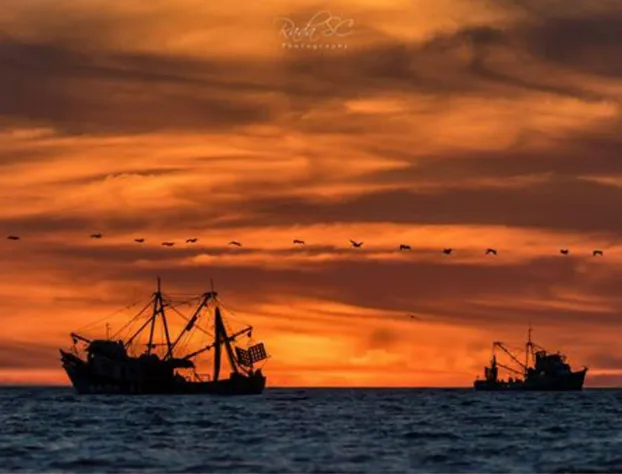 Hotel Malibu Guaymas hotel detail image 3