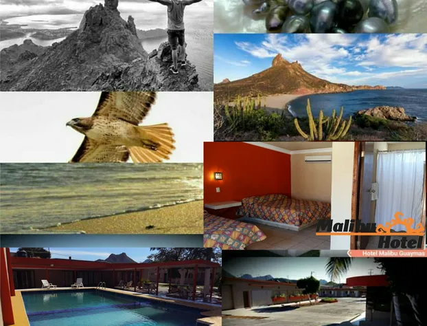 Hotel Malibu Guaymas hotel detail image 4