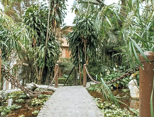 Hotel Teocalli hotel detail image 3