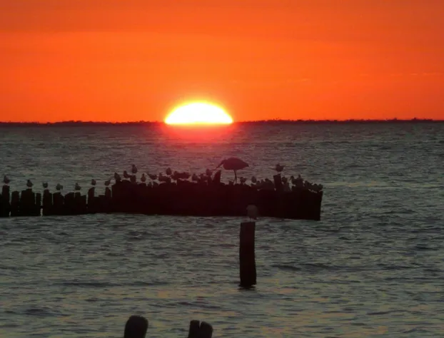 Golden Paradise Beach hotel detail image 4