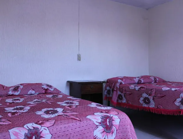 Hotel Plaza Aleman hotel detail image 3