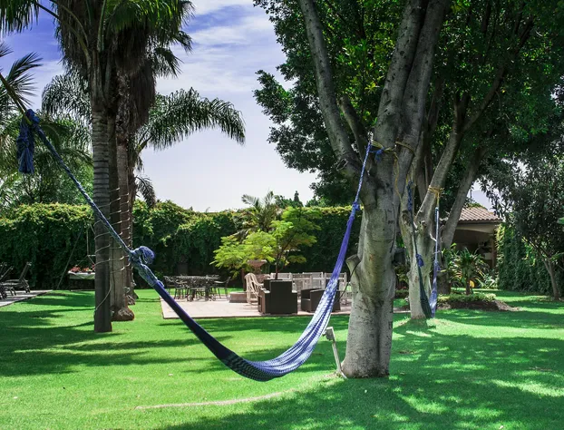 La Esmeralda en el Encanto Hotel Petit hotel detail image 4