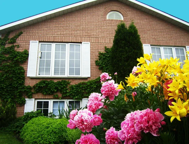 Opus 74 Bed & Breakfast hotel detail image 1