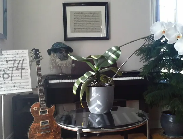 Opus 74 Bed & Breakfast hotel detail image 2