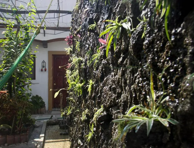 Eco Hotel Las Mariposas hotel detail image 3