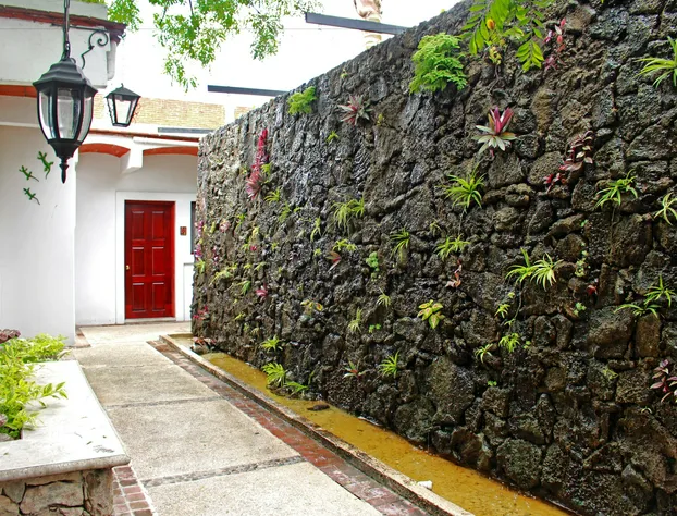 Eco Hotel Las Mariposas hotel detail image 3