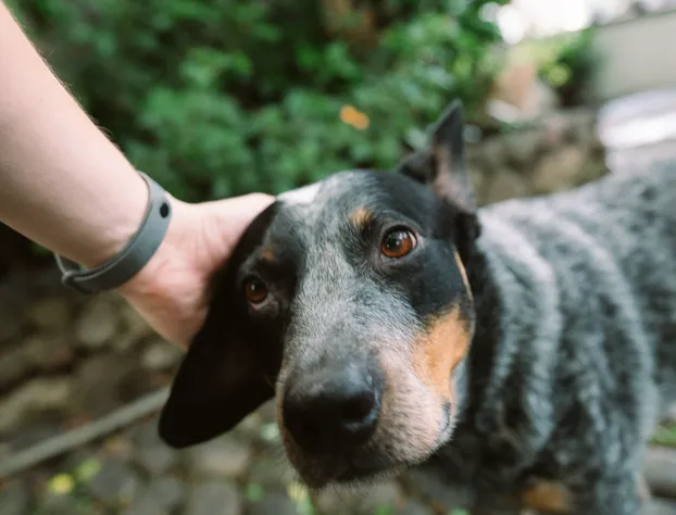 Milcoapa hotel detail image 4