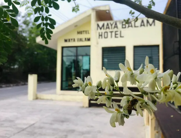 Hotel Maya Balam hotel detail image 4