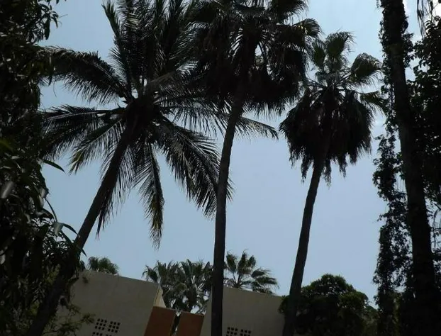 Hotel Posada Señor Mañana hotel detail image 4