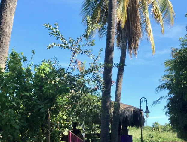 Hotel Posada Señor Mañana hotel detail image 2