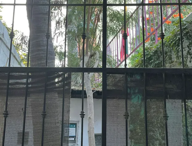 Hotel Posada Señor Mañana hotel detail image 4