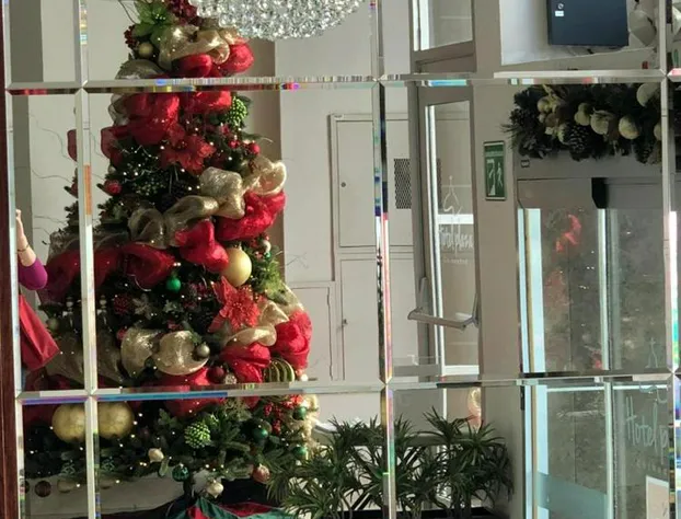 Hotel Plaza Chihuahua hotel detail image 2