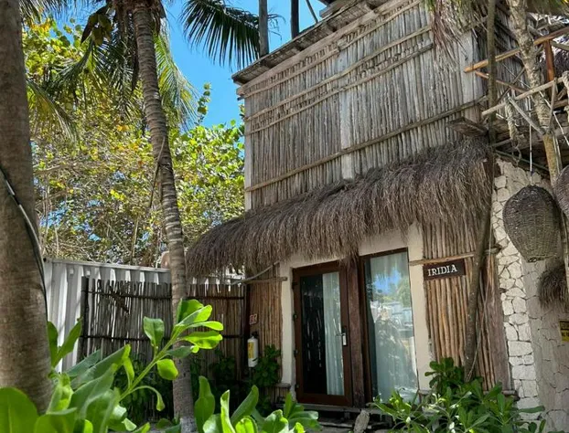 Alquimia Hotel Boutique hotel detail image 4