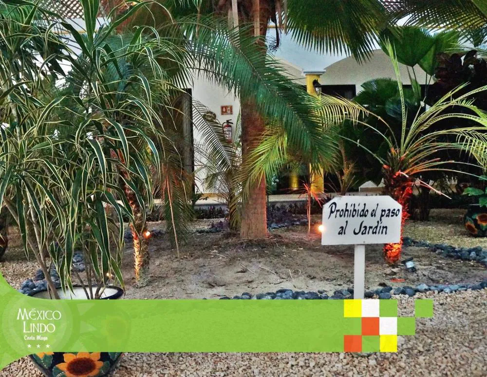 Hotel Mexico Lindo hotel hero