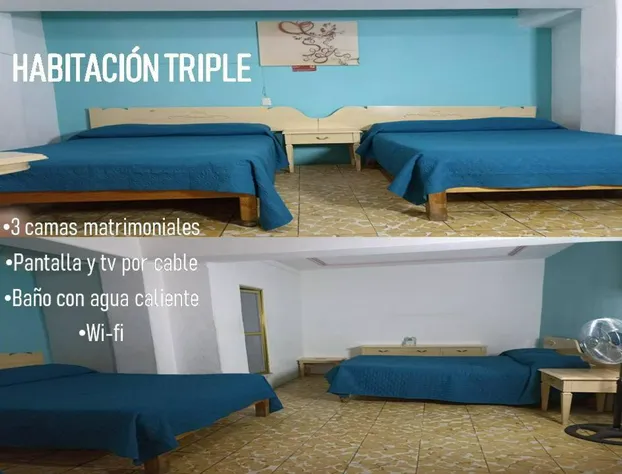 Hotel Viena hotel detail image 4