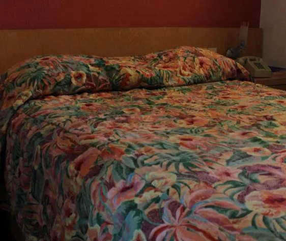 Hotel Regis hotel detail image 2