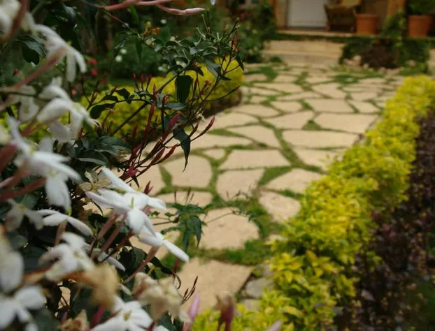 Hotel Posada Primavera hotel detail image 2