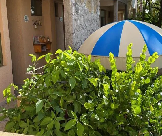 Hotel Bigu hotel detail image 2