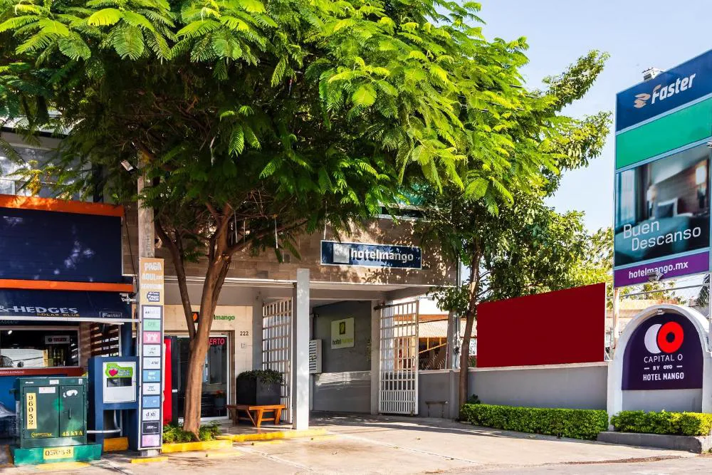 Collection O Hotel Mango,Six Flags Hurricane Harbor Oaxtepec hotel hero