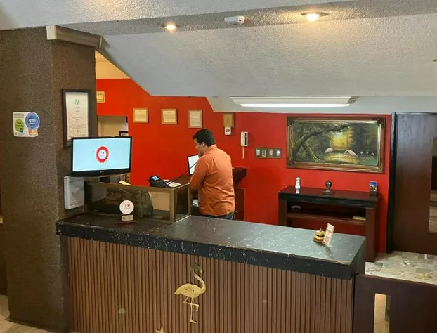 Hotel Flamingo Kristal hotel detail image 4