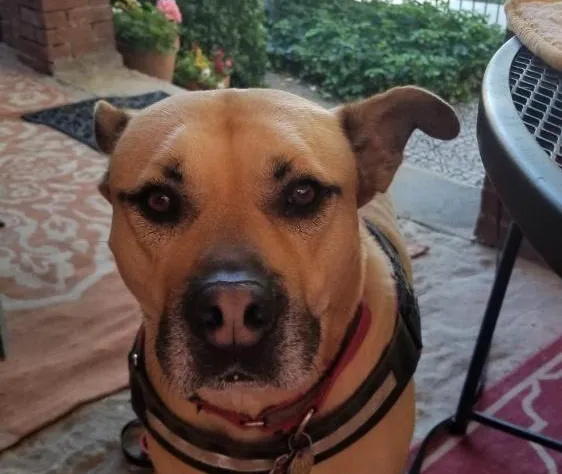 Clifford House Private Home Bed & Breakfast hotel detail image 3