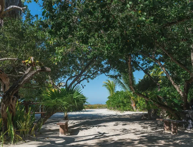 Hotel Casa Takywara hotel detail image 2