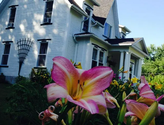 B&B Hillhouse hotel detail image 1