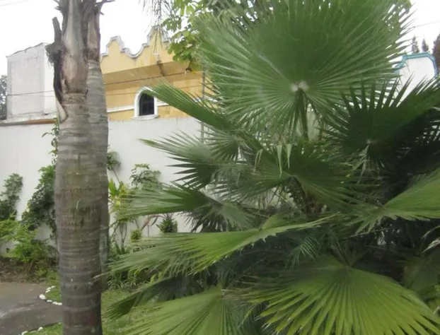 Auto-Hotel Mediterraneo hotel detail image 2