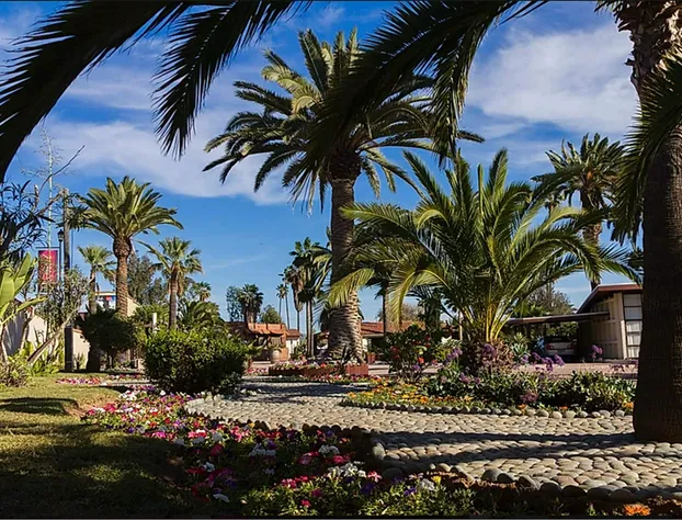 Hotel Quintas Papagayo hotel detail image 4